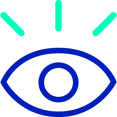 Icon4_security checks